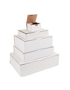 (lot  50 boîtes) boîte postale blanche 250 x 150 x 100mm