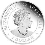 Pièce de monnaie en argent 1 dollar g 31.1 (1 oz) millésime 2022 happy birthday