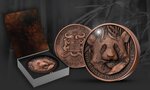 Giant panda 1 kg kilo copper monnaie 1500 francs benin 2023