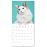 Grand calendrier mural 29x29  cm - 2024 - Chats - Draeger