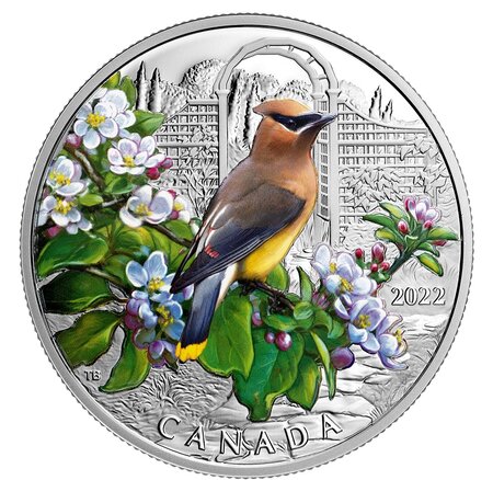 Pièce de monnaie 20 Dollars Canada Jaseur d’Amérique 2022 – Argent BE
