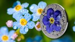 FORGET ME NOT Flowers and Leaves 1 Oz Silver Coin 10 Dollars Palau 2023