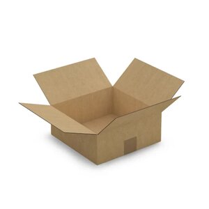 20 cartons d'emballage 25 x 25 x 10 cm - Simple cannelure
