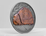 Pièce de monnaie en Argent 200 Francs g 93.3 (3 oz) Millésime 2023 Prehistoric Art ABOURMA ROCK ART