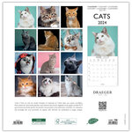Grand calendrier mural 29x29  cm - 2024 - Chats - Draeger